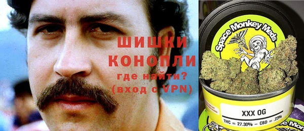 ПСИЛОЦИБИНОВЫЕ ГРИБЫ Балабаново