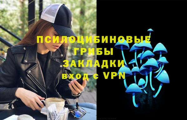ПСИЛОЦИБИНОВЫЕ ГРИБЫ Балабаново