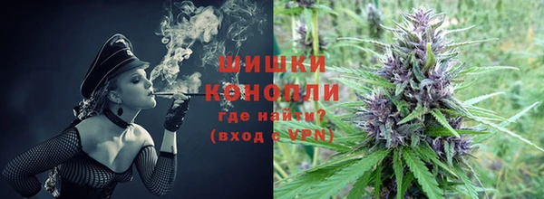 ПСИЛОЦИБИНОВЫЕ ГРИБЫ Балабаново