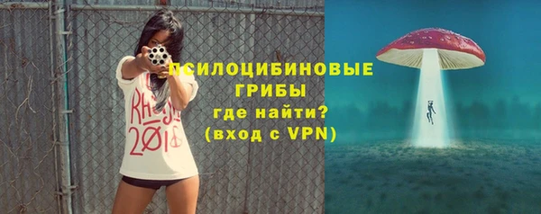 ПСИЛОЦИБИНОВЫЕ ГРИБЫ Балабаново