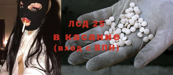 молекула духа Вяземский
