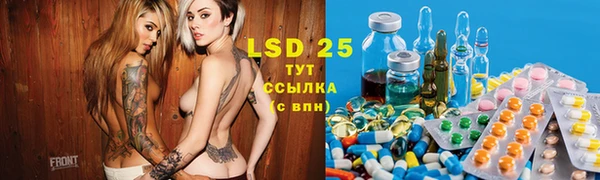 ПСИЛОЦИБИНОВЫЕ ГРИБЫ Балабаново