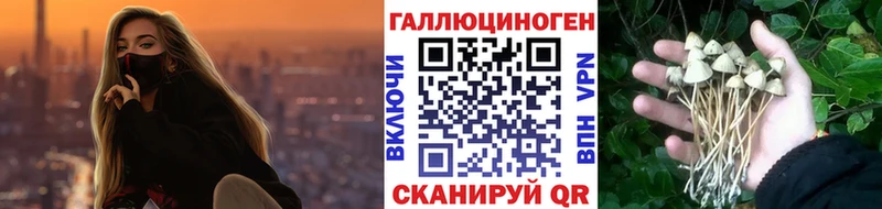 Псилоцибиновые грибы GOLDEN TEACHER  дарнет шоп  Куса 